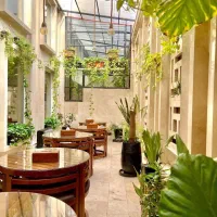 هتل ۳ستاره لوکس بسیار تمیز|اجارهٔ کوتاه‌مدت آپارتمان و سوئیت|مشهد, کوشش|دیوار