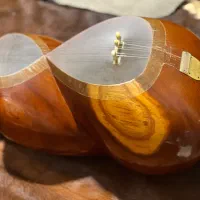 تار کارگاهی فرهنگیان با کیفیت و قیمت مناسب|سازهای سنتی|تهران, تهرانسر غربی|دیوار