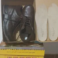 کفش ایمنی بهشتیان