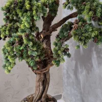 درختچه کاج|گل مصنوعی|گرگان, |دیوار