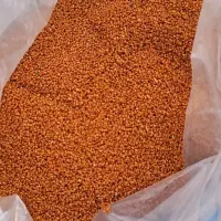 بذرپاشی خاکشیرو گیاهان دارویی