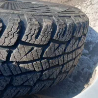 رینگ ولاستیک 17
