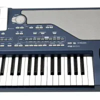 کیبورد KORG PA 800