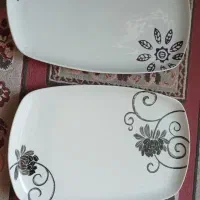 دوعدد دیس چینی دسینی