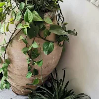 خمره قدیمی