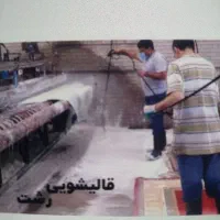 کارگر ساده قالیشویی رشت