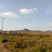 باغ کشاورزی|فروش دفتر صنعتی، کشاورزی، تجاری|سبزوار, رباط|دیوار