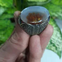 انگشتر شجر زیبای گل اناری