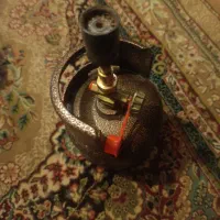 پیک نیک|اجاق گاز و لوازم برقی پخت‌وپز|هشتگرد, هیو|دیوار