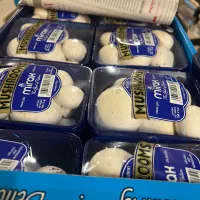 قارچ دکمه ای|خوردنی و آشامیدنی|فردیس, فردیس|دیوار