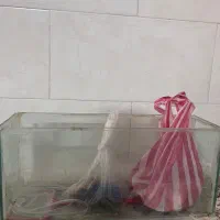اکواریوم با تجهبزات