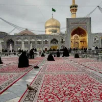 در مورد اهل بیت علیهم السلام بپرسید