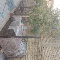 رهن کامل منزل ویلایی|اجارهٔ خانه و ویلا|شیراز, شهرک نیروی انتظامی|دیوار