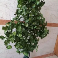 درختچه سالم|گل مصنوعی|میانه, |دیوار