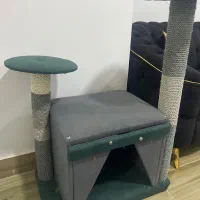 اسکراچر و لونه گربه