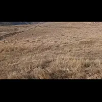 فروش زمین|فروش زمین و ملک کلنگی|طالقان, |دیوار