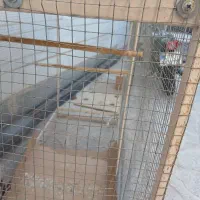 قفس بزرگ پرنده شهرضا|لوازم جانبی حیوانات|شهرضا, |دیوار