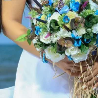 لباس برای عکاسی عروس|لباس|رشت, صفاری|دیوار