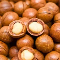 نهال فندق انیس ترکیه