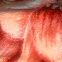 دو عدد پتو سالم گلبافت