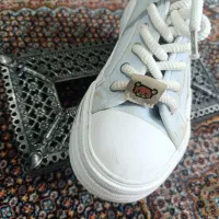 کفش و کتانی