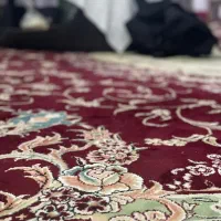 فرصتی ویژه برای خرید فرش باکیفیت و قیمت مناسب|فرش|محمودآباد, |دیوار
