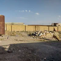 فروش دامداری واقع در ویستان پایین|فروش دفتر صنعتی، کشاورزی، تجاری|خرمدره, |دیوار