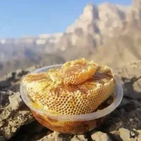 عسل طبیعی درجه ۱ کوهستان تحویل رایگان