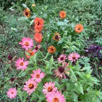 فروش یا تهاتر