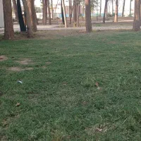 راهنمایی