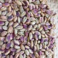 فروش پسته در انواع مختلف|خدمات باغبانی و درختکاری|مه ولات, |دیوار