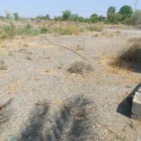 زمین مسکونی 300متر
