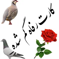 کارت رفاه گم شده
