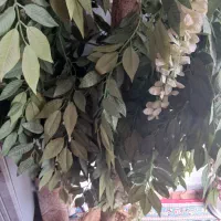 گل مصنوعی|گل مصنوعی|ایذه, |دیوار