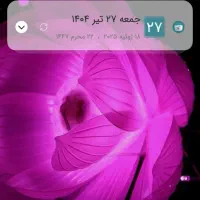 وام گیرنده رتبهAمیخام
