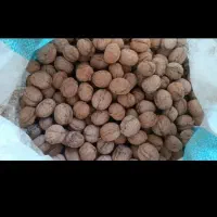 گردو کلات پرچرب کلات رسید خوشمزه|خوردنی و آشامیدنی|مشهد, شهید شهریاری|دیوار