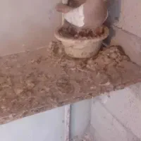 قهوه ای کوینح گرفتنی