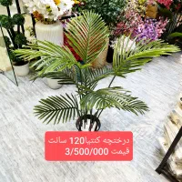 درختچه وارداتی|گل مصنوعی|فردیس, فردیس|دیوار