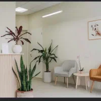 اجاره یک اتاق از مطب زیبایی