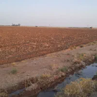 سرمایه میخام