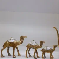 شتر برنز هندی صدفی تکی بزرگ