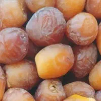 خرما هلیله ای