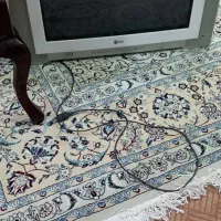 تلوزیون ال جی|تلویزیون و پروژکتور|رامهرمز, |دیوار
