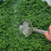 قورمه سبزی آماده