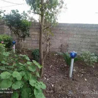 آپارتمان ۵۴ متری تکواحدی در خیابان شهید مطهری|فروش آپارتمان|لاهیجان, خالو باغ|دیوار