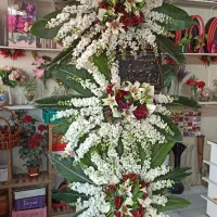 تاج گل به قیمت گلخانه