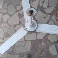 پنکه سقفی