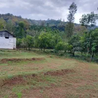 زمین کوهپایه در دل طبیعت|فروش زمین و ملک کلنگی|واجارگاه, |دیوار