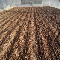 سازه گلخانه