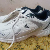 کفش lc walkiki|کیف، کفش، کمربند|اردبیل, |دیوار